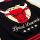 Chicago Bulls x Lyrical Lemonade Varsity Letterman Jacket